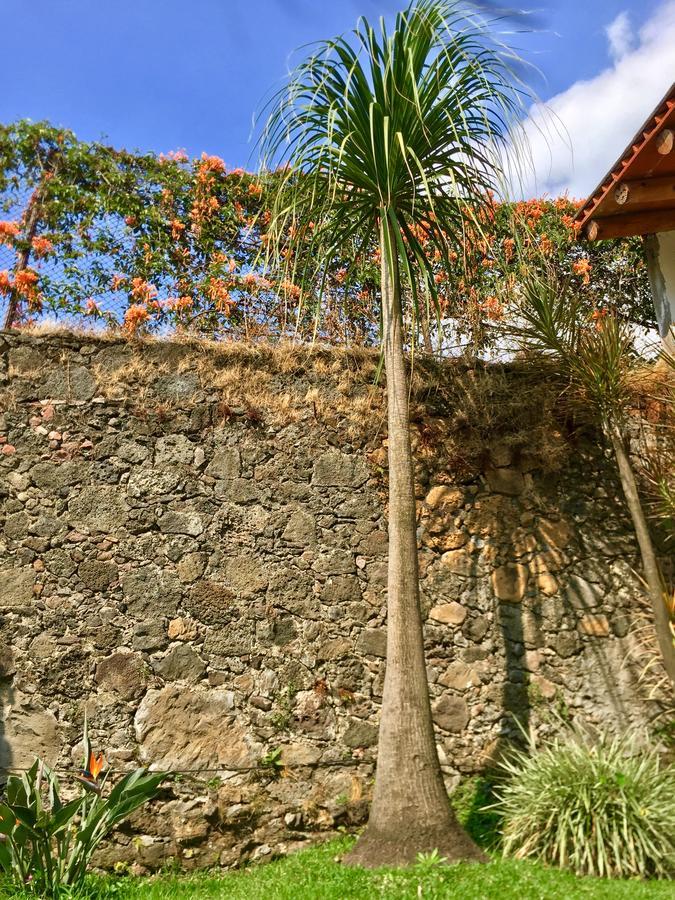 Posada Nican Mo Calli Tepoztlán Buitenkant foto